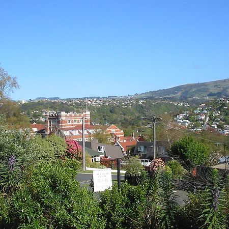 Bed and Breakfast Arden Street House Dunedin Exterior foto