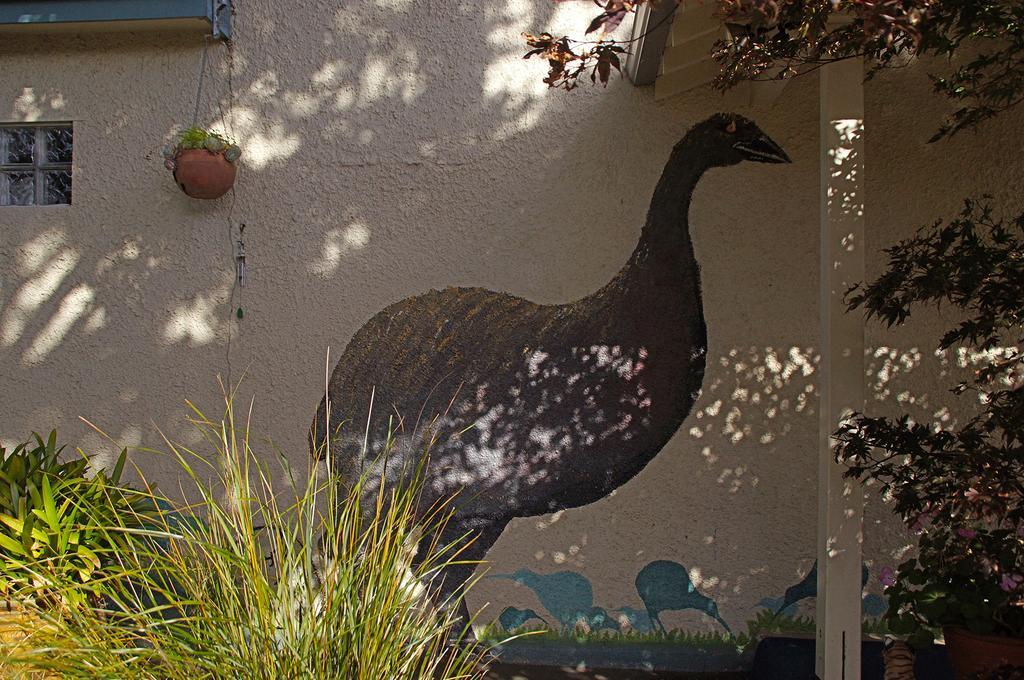 Bed and Breakfast Arden Street House Dunedin Exterior foto