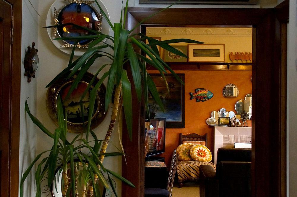 Bed and Breakfast Arden Street House Dunedin Exterior foto