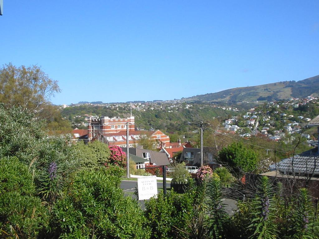 Bed and Breakfast Arden Street House Dunedin Exterior foto