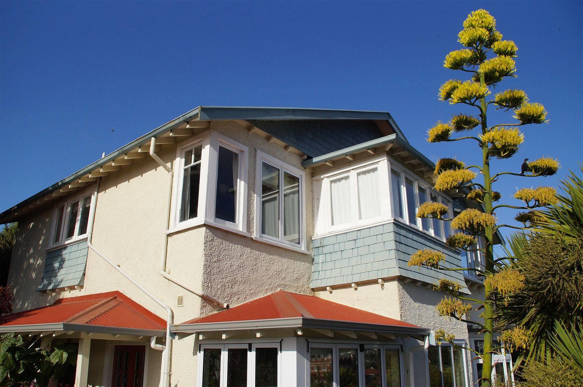 Bed and Breakfast Arden Street House Dunedin Exterior foto